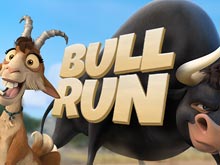 Ferdinand Bull Run