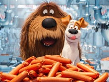 The Secret Life of Pets Find Objects